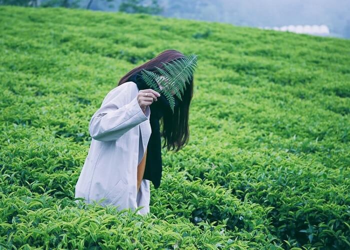 지아 응이아 티 힐