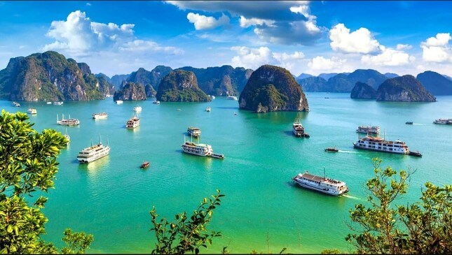 Đi thuyền trên Vịnh Hạ Long, Lan Hạ: Trải nghiệm thú vị nhất thế giới