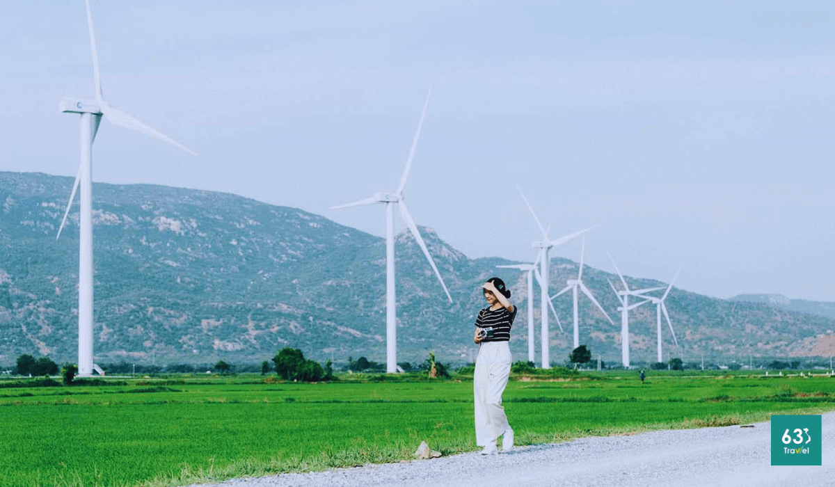 Check-in cánh đồng điện gió ở Ninh Thuận HOT rần rần những ngày qua