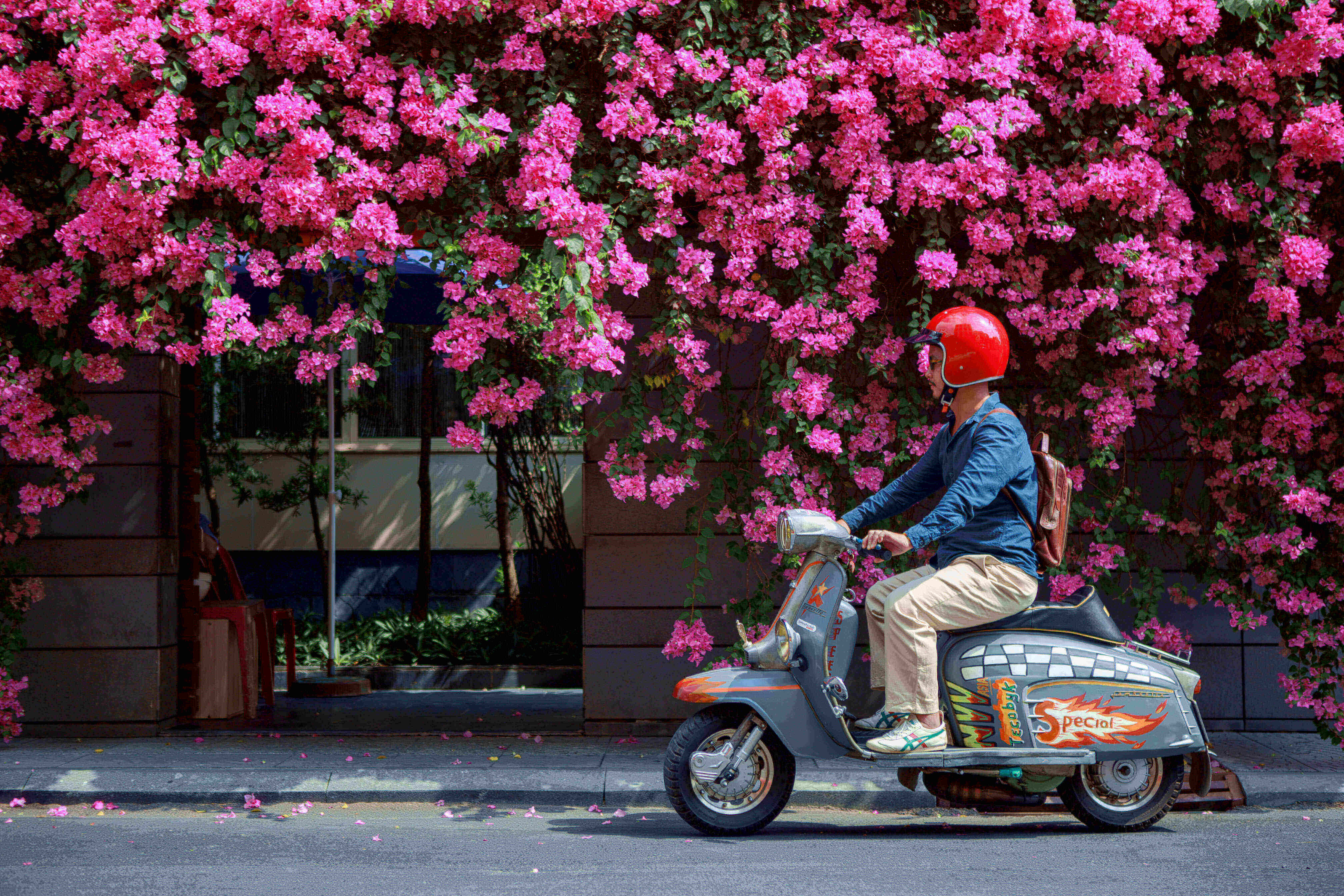 サイゴンのブーゲンビリアの季節