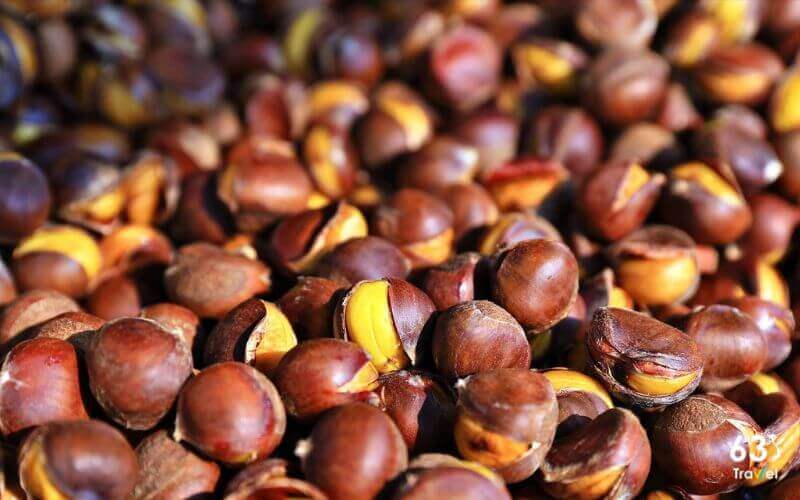 Hạt dẻ Trùng Khánh - Đặc sản độc lạ mua làm quà ở Cao Bằng