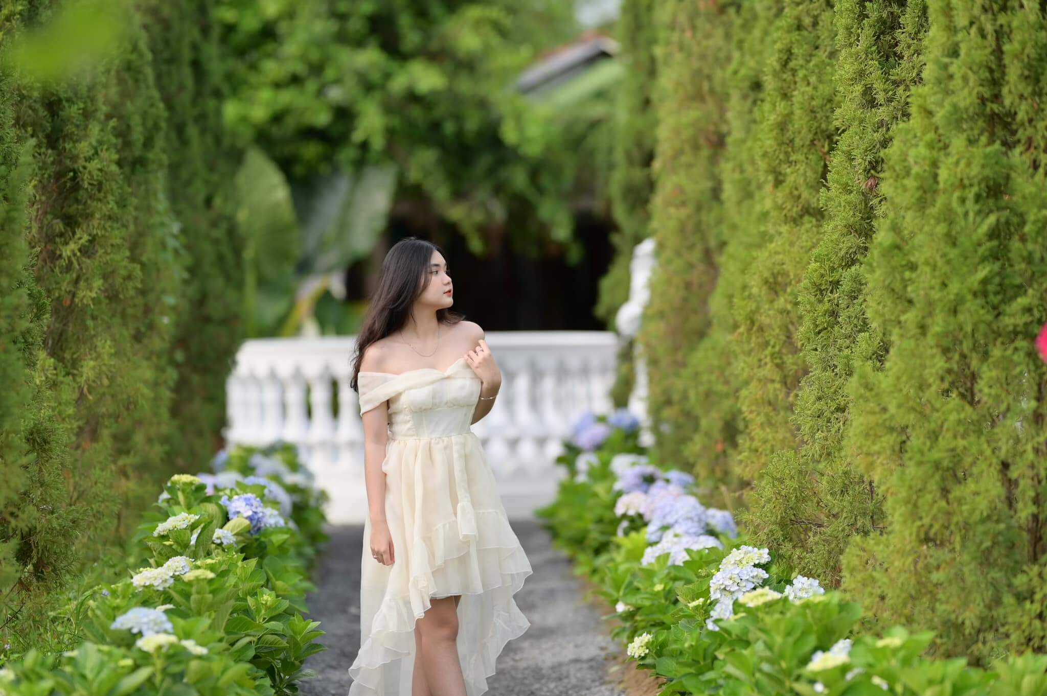 Vườn hoa Mãn Đình Hồng