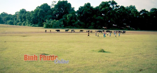 ブラック草原の素朴な美しさ