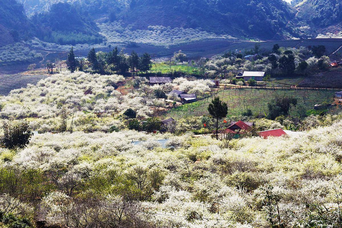 Thung lũng Mận Nà Ka