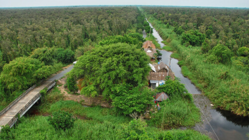 ウミンハの森はベトナムと世界の重要な森です