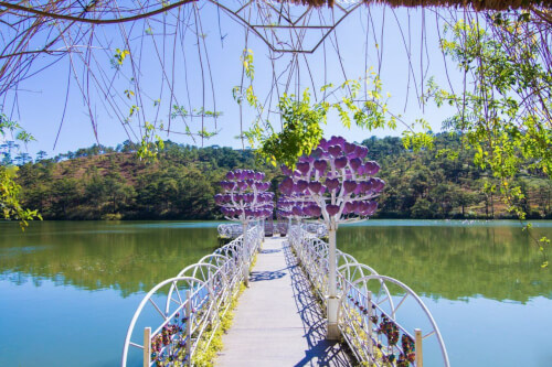 Cầu Tình Yêu- ngọt ngào như thung lũng tình yêu Đà Lạt