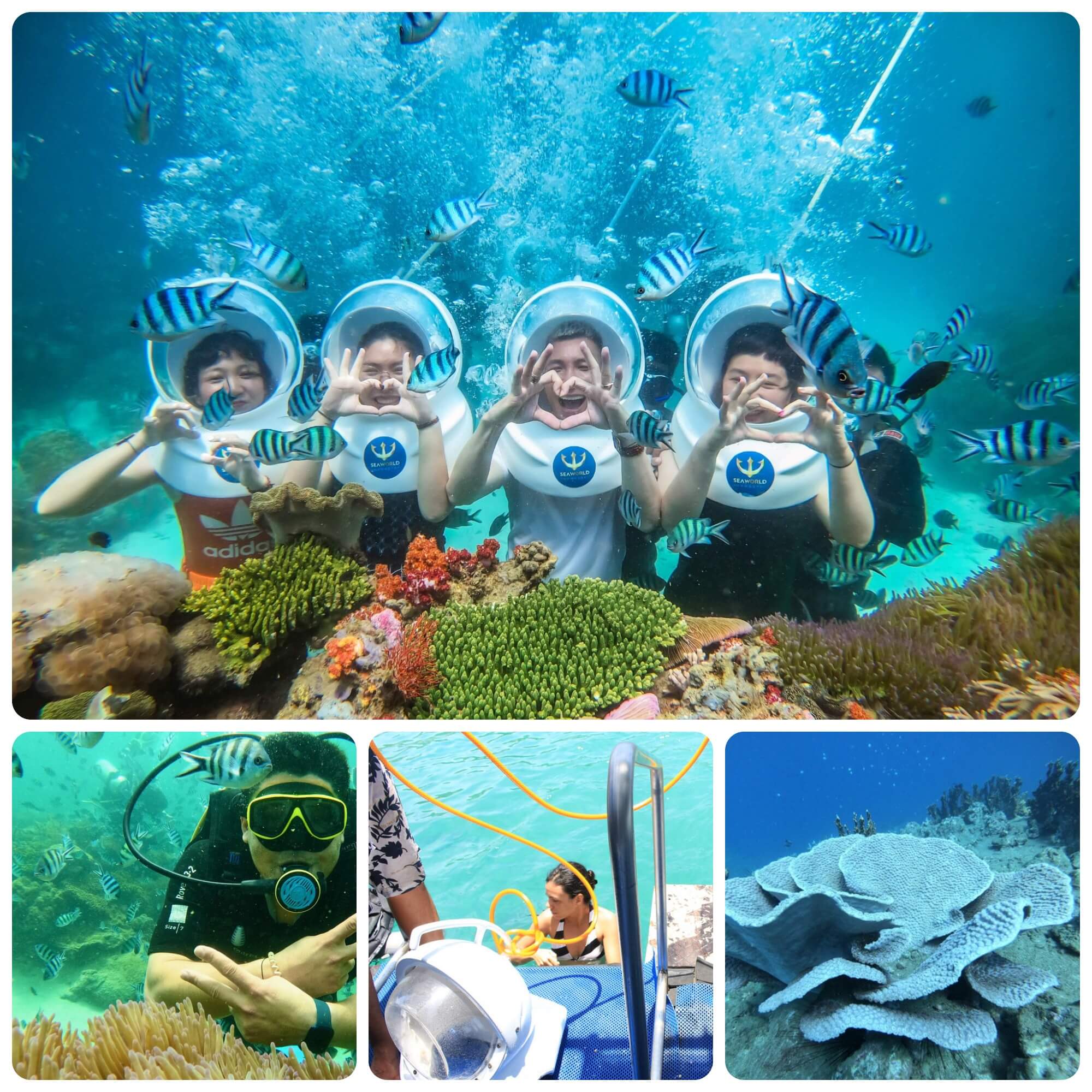 TRẢI NGHIỆM ĐI BỘ DƯỚI ĐÁY BIỂN Ở VỊNH NHA TRANG