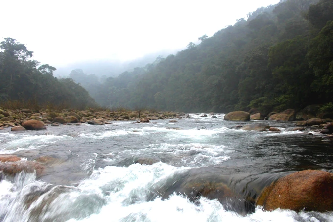 Vườn Quốc gia Vũ Quang