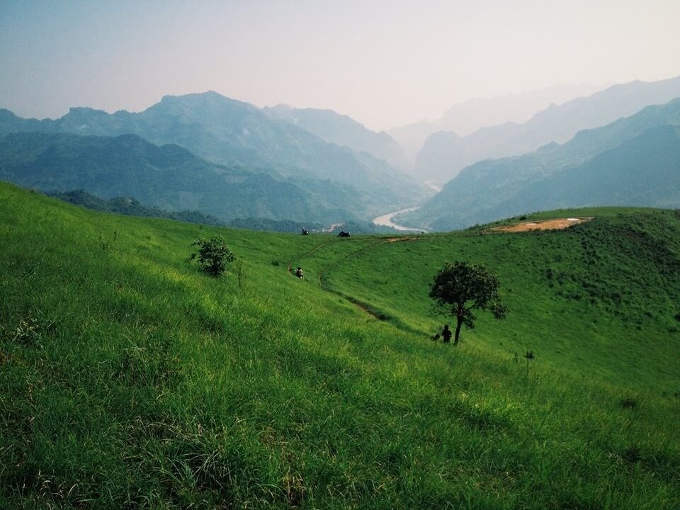 Đồng cỏ Phiêng Mường