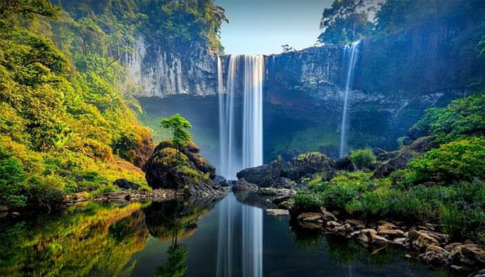 ここの森林は原生林や原生林を中心に、山、丘、川、小川、急流があり、生き生きとした自然の景観を作り出しています。