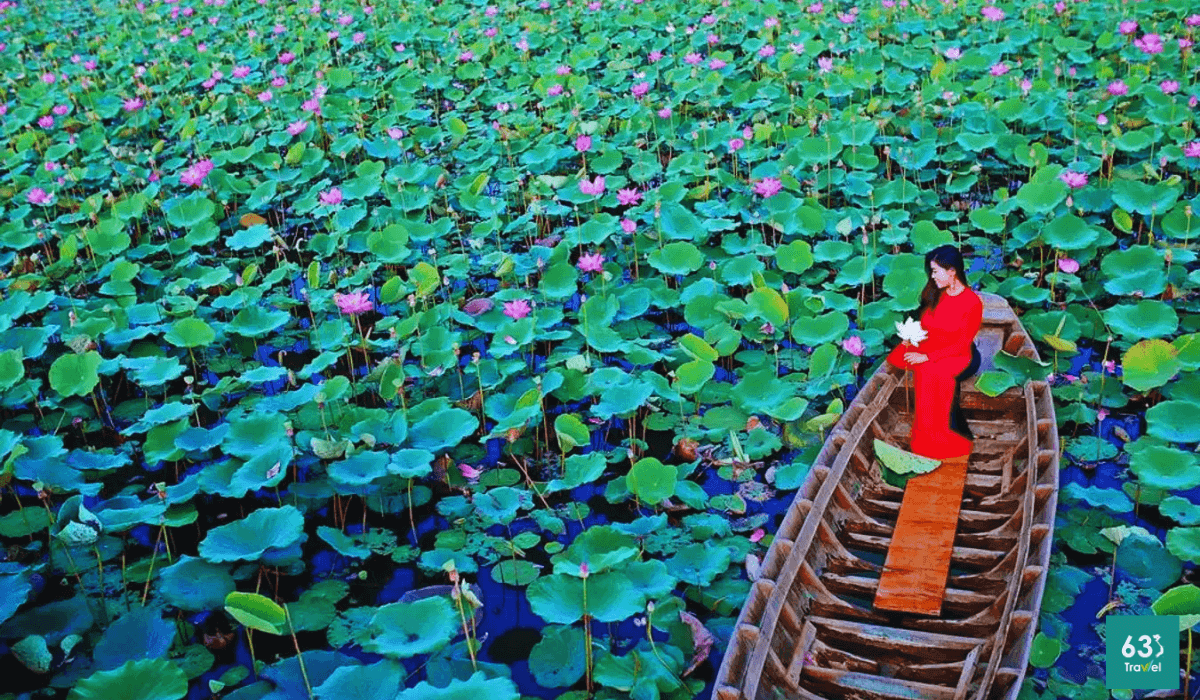 Bát ngát cảnh sắc miền quê tại khu du lịch sinh thái đồng sen Tháp Mười