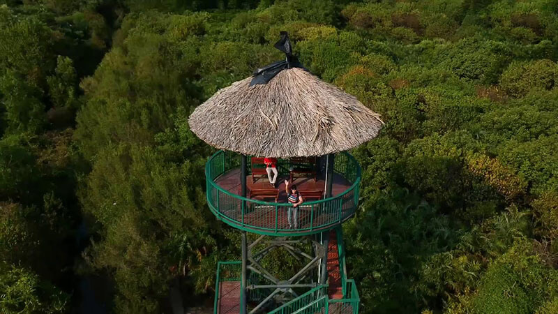 ダン・サイは、マングローブ林の真ん中に、広大な緑の植生の中でひときわ目立つ、そびえ立つ展望塔を建てました。