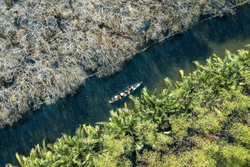 タムザンラグーンで唯一のマングローブ林で紅葉の季節を満喫