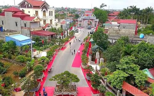 Làng vườn Bách Thuận - Góc nhìn từ xa