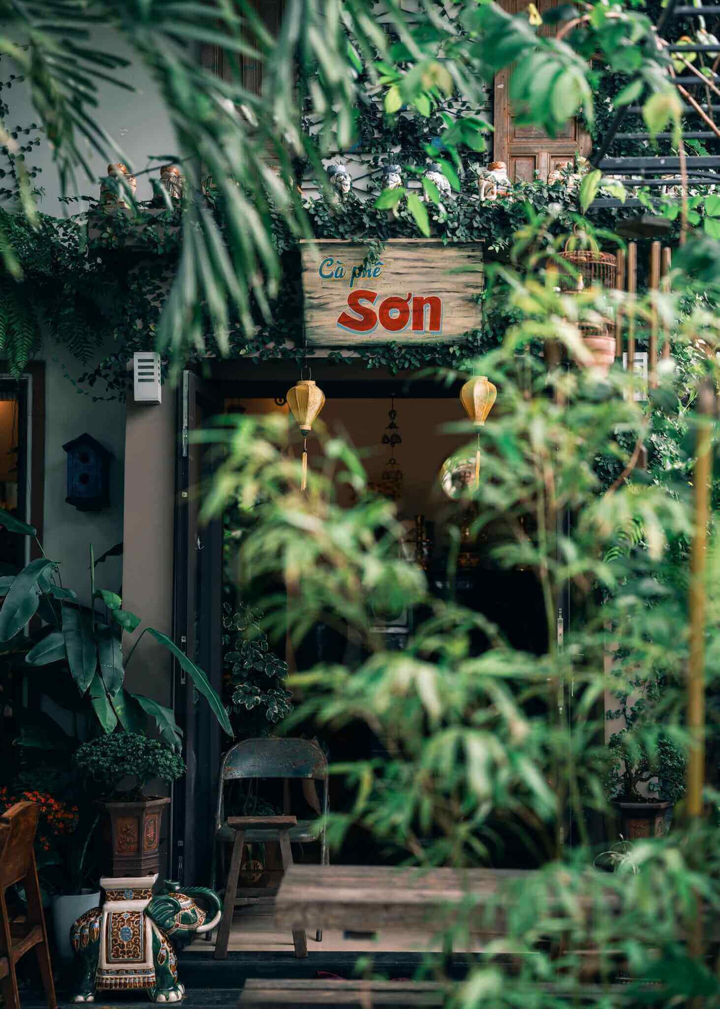 Cà phê Sơn - Góc coffee cho người yêu thiên nhiên tại Quảng Ngãi