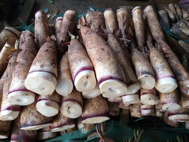 SPECIAL PRODUCTS OF MONG HONG THUONG THUONG THUONG COMMUNITY QUARTERLY HOA LAC SON HOA BINH