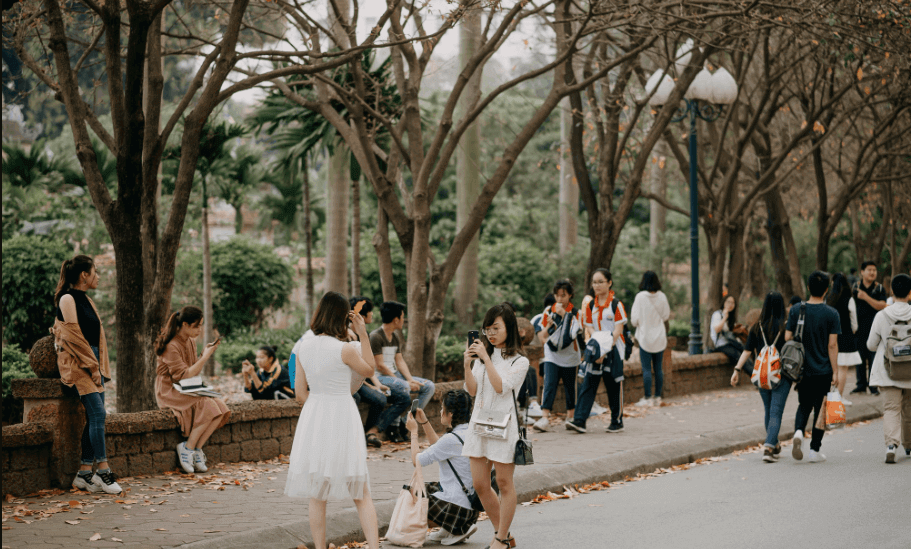 Giới trẻ check-in 'con đường lá vàng' ở Đại học Sư phạm Hà Nội