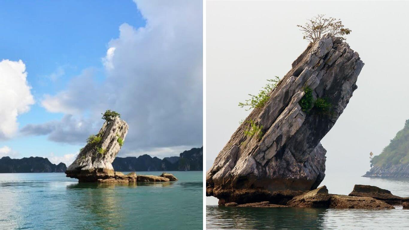 Hòn Con Cóc: Tác Phẩm Điêu Khắc Tự Nhiên Khiến Du Khách Mê Mẩn