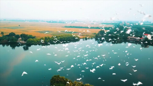 Du lịch khám phá đảo Cò Lăng Nam