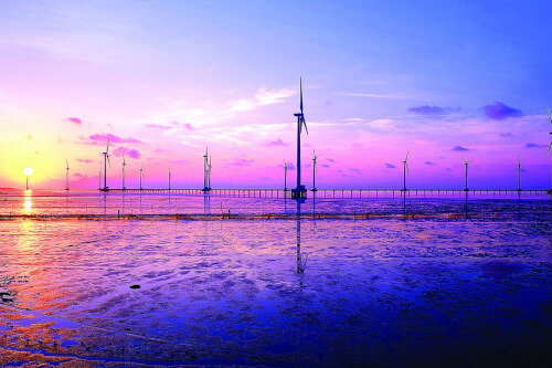 Bac Lieu 바다의 바람개비 필드에 일몰