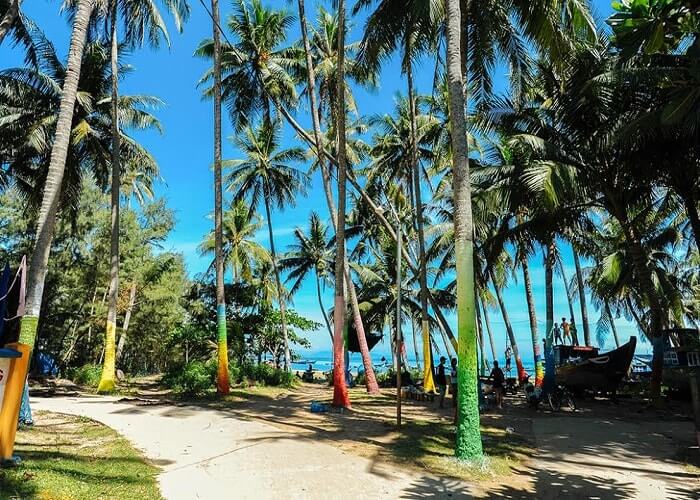 Khám phá xã đảo Tam Hải - Hòn ngọc tuyệt ĐẸP của Quảng Nam