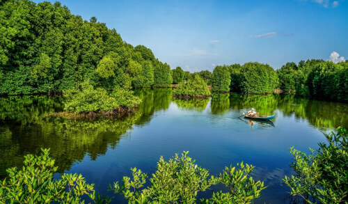 ナムカンのマングローブ林の神秘的な土地に迷い込んだ