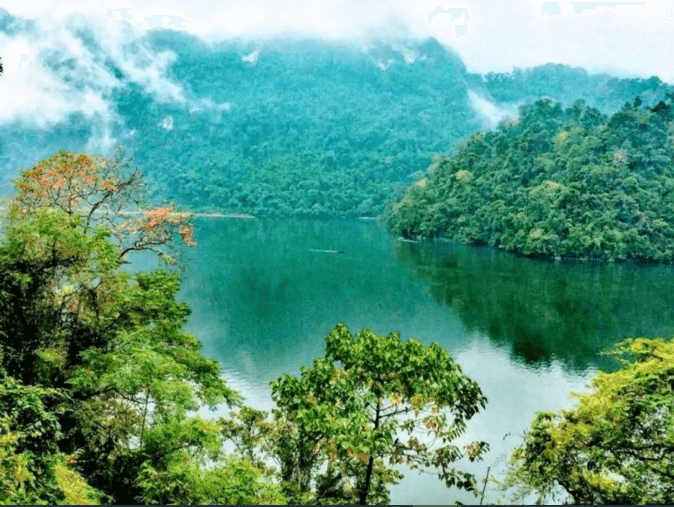 キム・ヒ自然保護区に来ると、非常に目を引くさまざまな風景を見つけることができます。