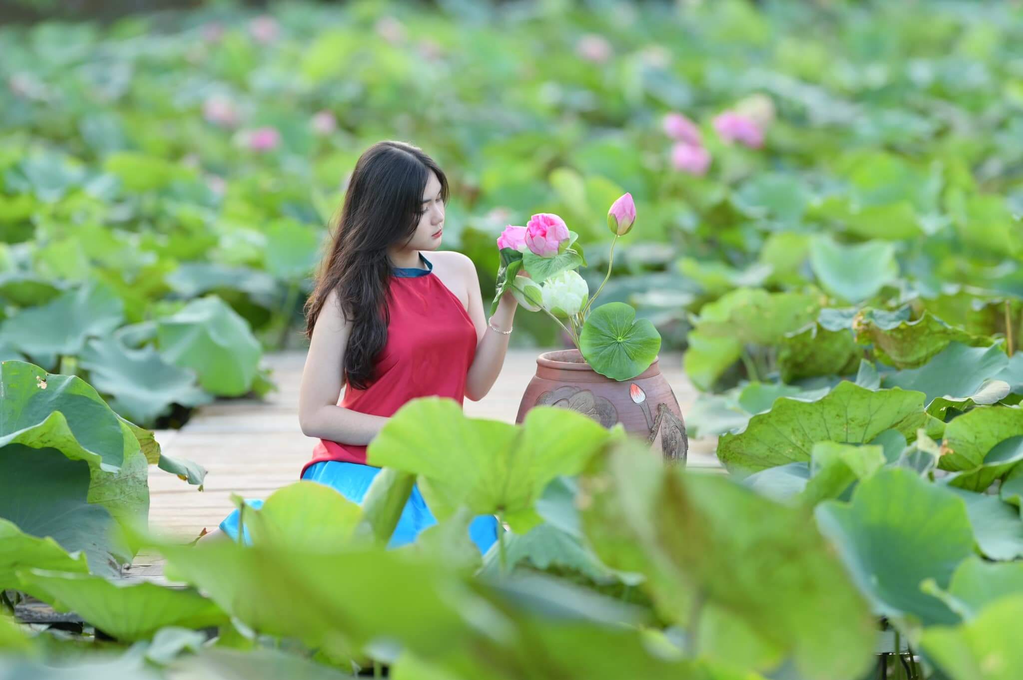 Vườn hoa Mãn Đinh Hồng tạo nên một khung cảnh vô cùng nên thơ, hữu tình dành riêng cho hội đam mê "sống ảo".