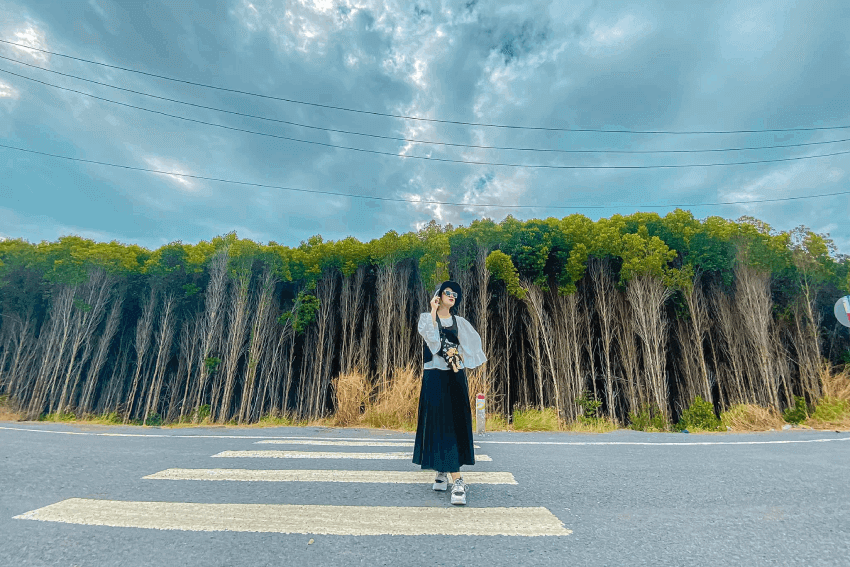 サックカンジオの森は、のどかな自然の川の景色で有名なだけでなく、多くの興味深いアクティビティや体験でも知られています。