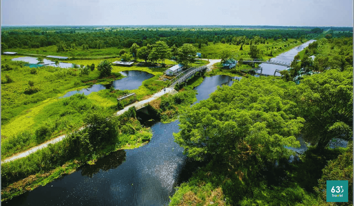 Chiêm ngưỡng Vườn quốc gia U Minh Hạ,vẻ đẹp thiên nhiên trù phú