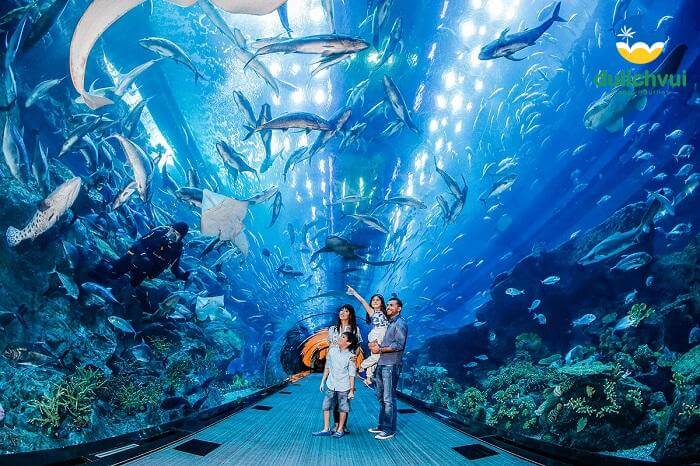 Thủy cung Vinpearl Nha Trang