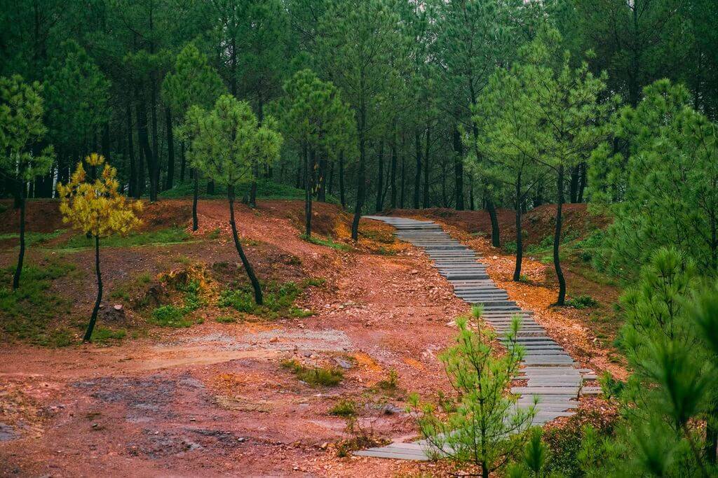 아름답고 매력적인 자연 경관을 감상해보세요.