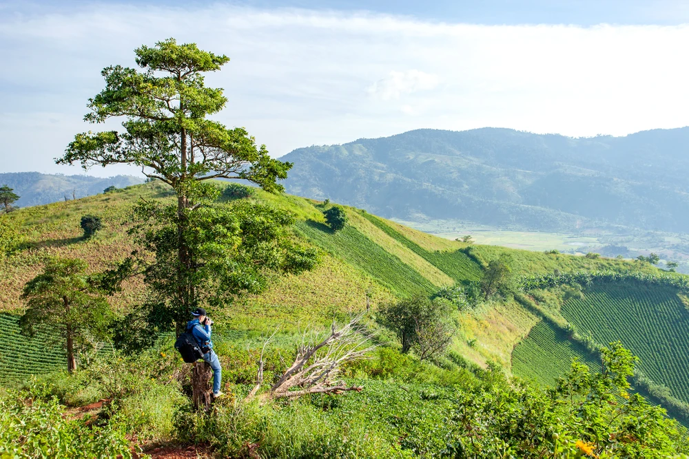 추당야(Chu Dang Ya) 화산은 자연이 산악 마을인 지아라이(Gia Lai)에 준 마법의 선물입니다.