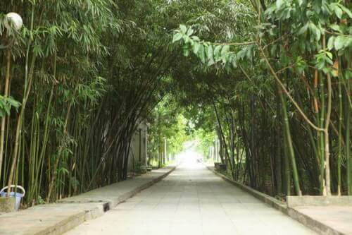 チュックハナム寺院への巡礼で英雄的な歴史的記憶を見つける