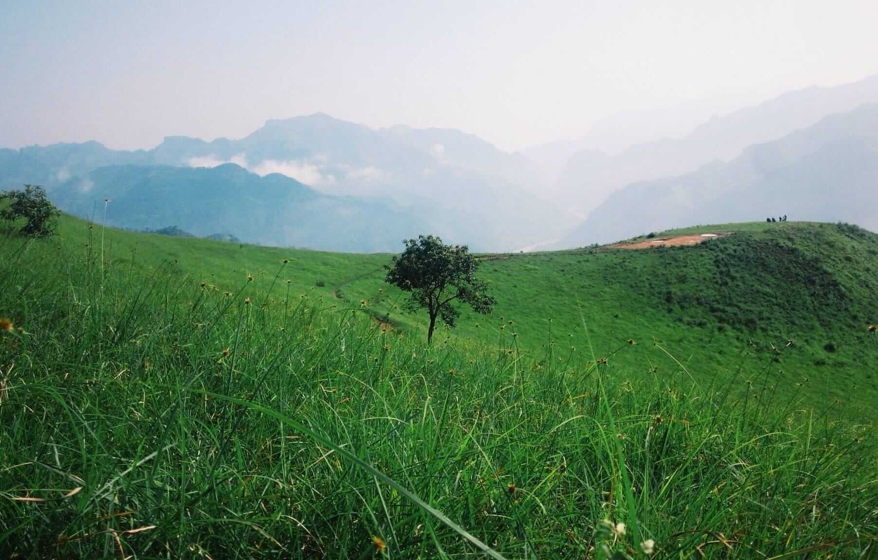 Đồng cỏ Phiêng Mường