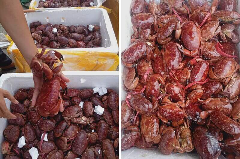 Trải Nghiệm Hương Vị Cù Kỳ - Niềm Tự Hào Quảng Ninh