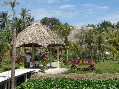 コンクイの生態地域