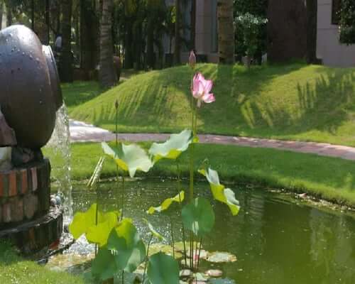 사이공 킴 리엔 리조트 쿠아 로