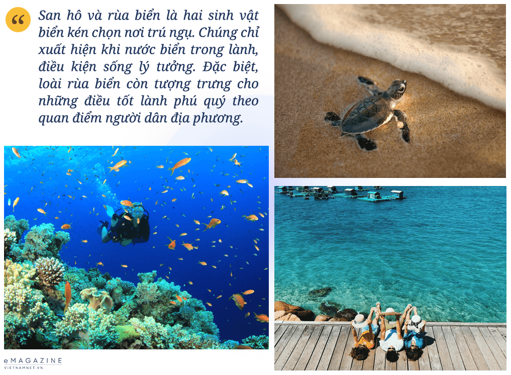 하이장(Hai Giang)은 다채로운 산호초와 풍부한 해양 생물로 인해 여전히 원시적인 아름다움을 유지하고 있습니다.