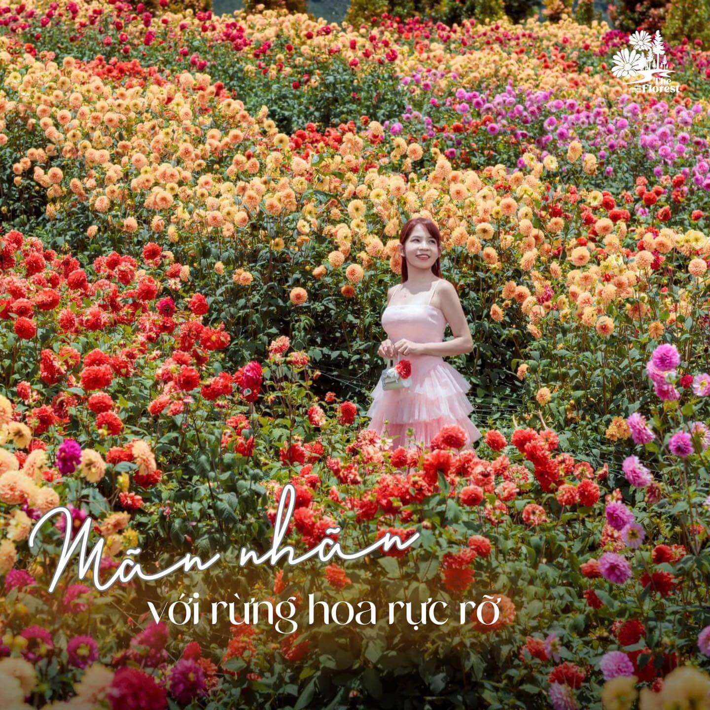 The Florest - Hoa Trong Rừng