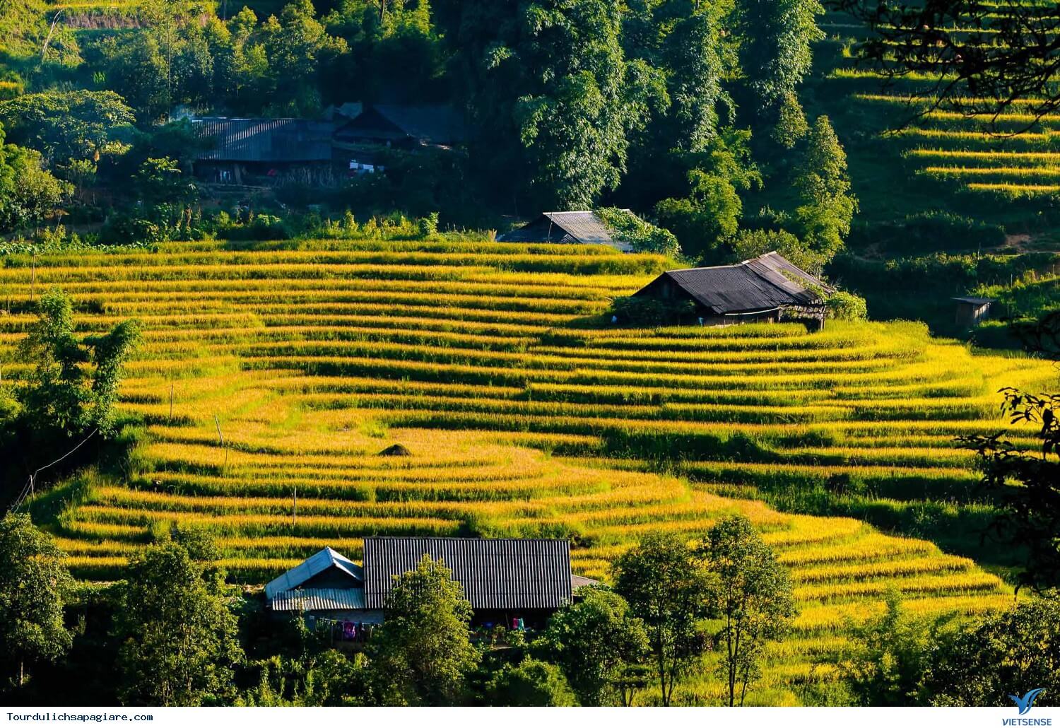 Thung Lũng Mường Hoa