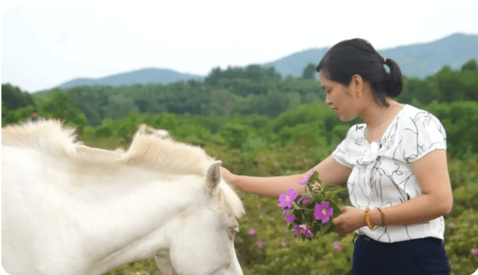 Trại ngựa Bá Vân