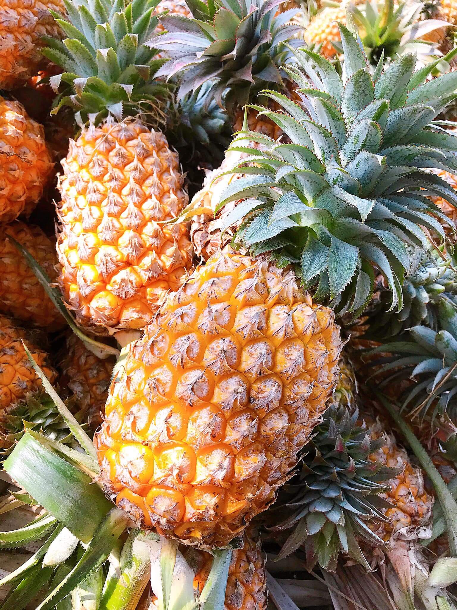 Cau Duc パイナップル ブランドを生み出す特別な特徴は、甘い味、濃い黄色の果肉、繊維が少なく、水分が少なく、甘くてシャキシャキした味、そして舌への刺激が少ないことです。