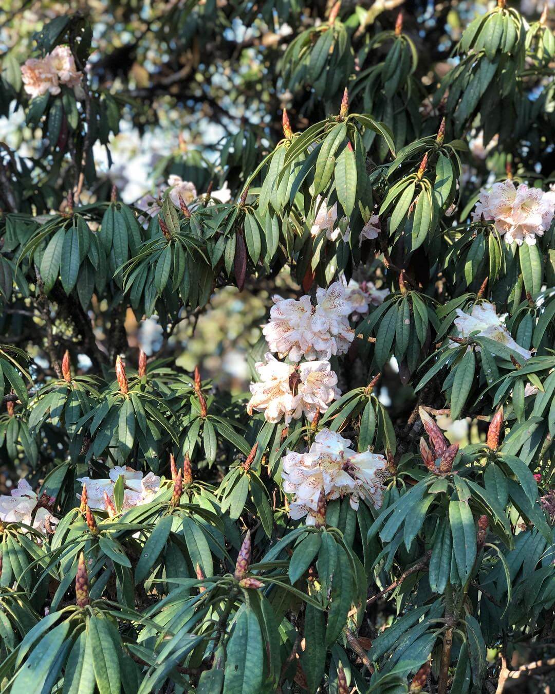 Day 1 (November 22): CAM RANH-INCHEON (Sleep on the plane)