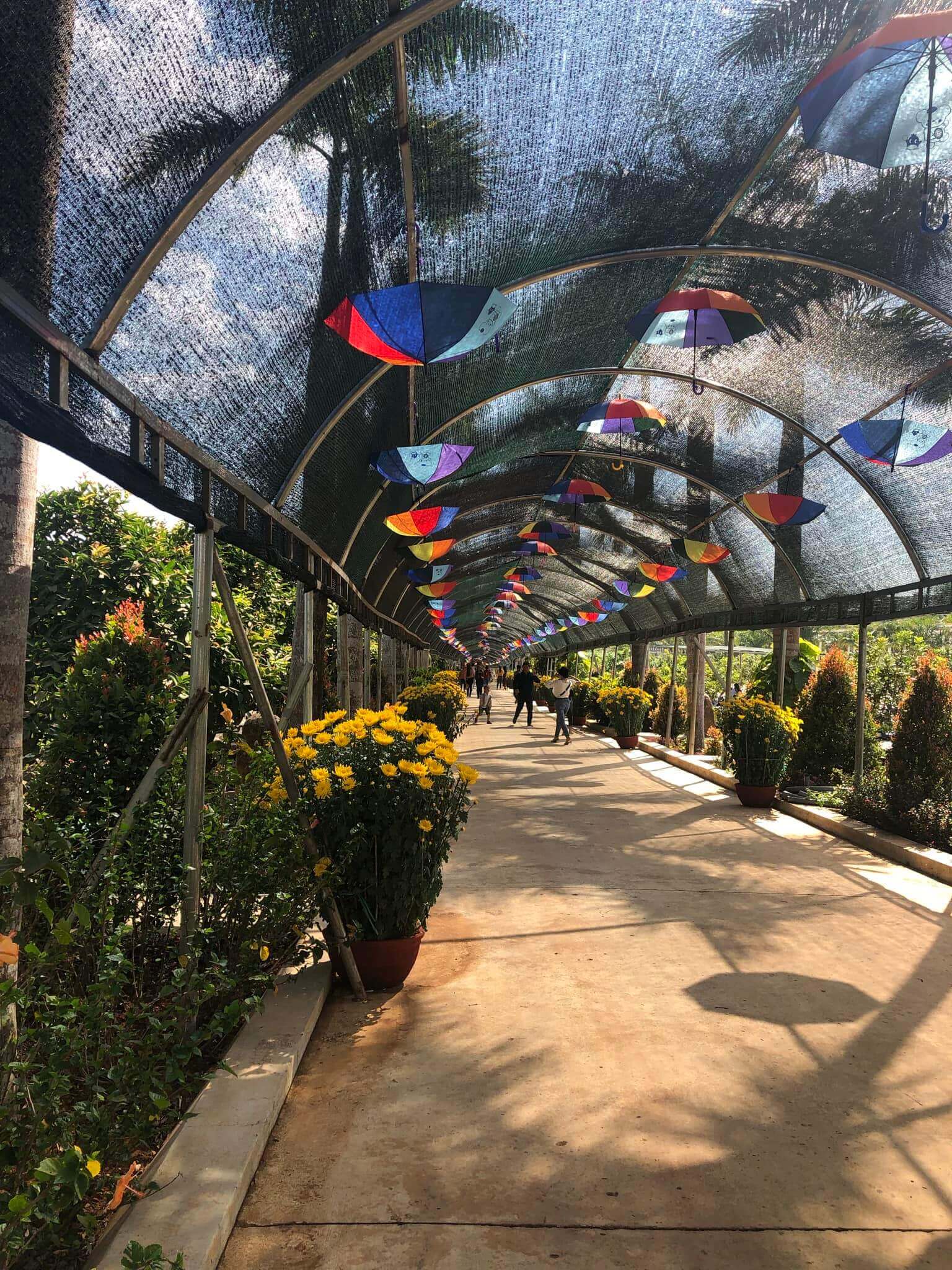 Khu du lịch Phước Sơn