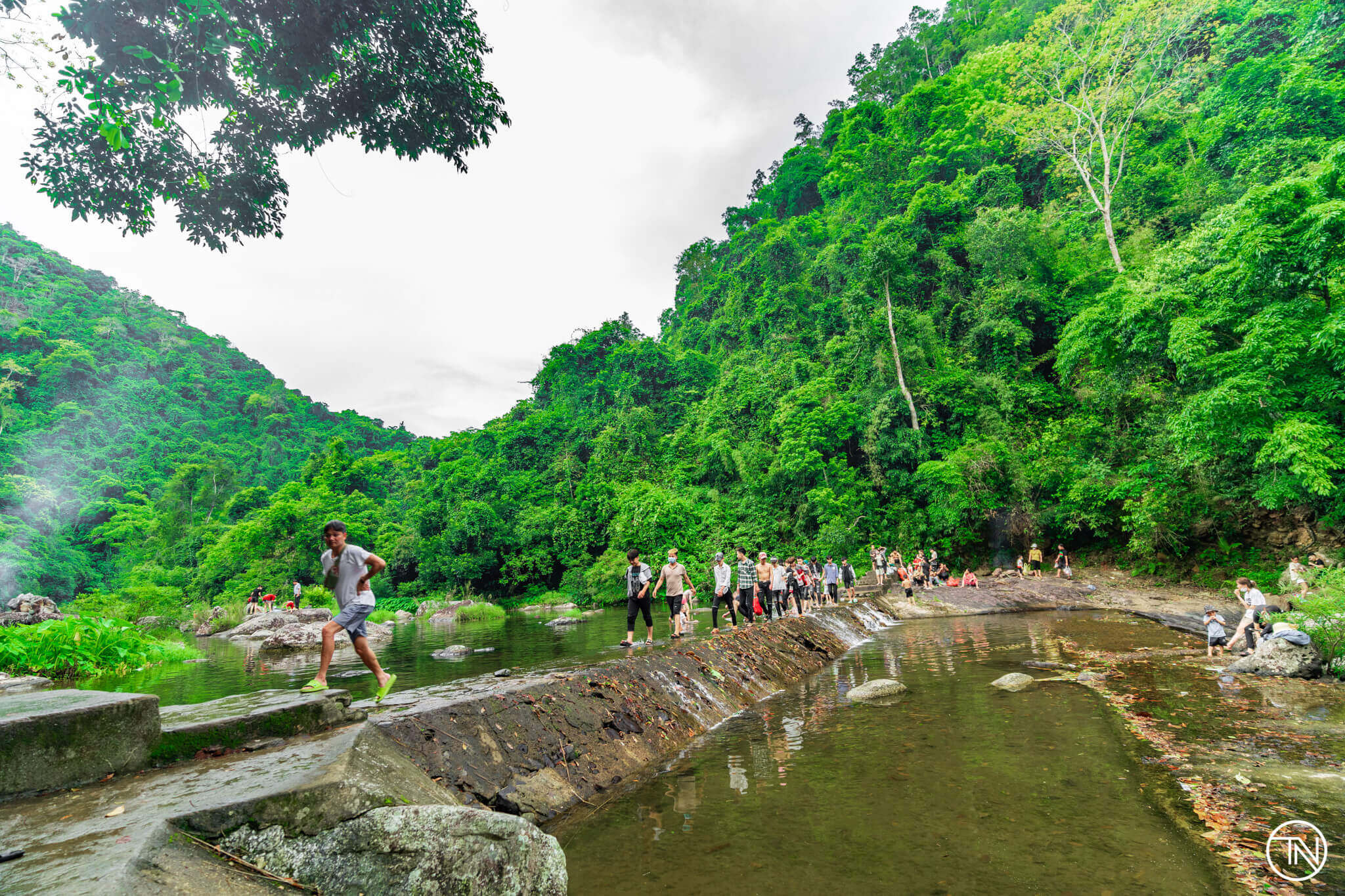 Rừng nguyên sinh Khe Rỗ