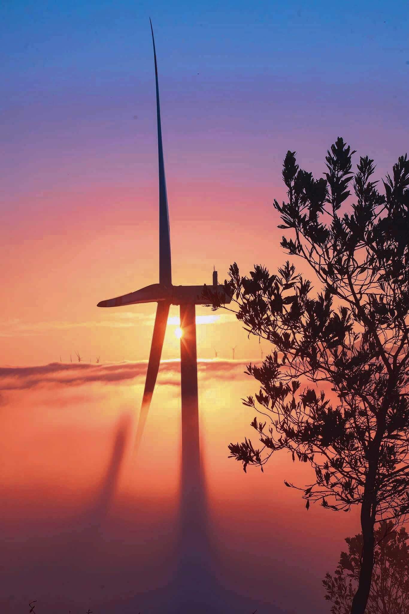 雲を探しにケサンへ行き、「風力発電所」にチェックイン