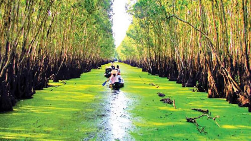 Ngày 2 - CHÂU ĐỐC - RỪNG TRÀM TRÀ SƯ - HÀ TIÊN - MŨI NAI (Ăn sáng, trưa, chiều)