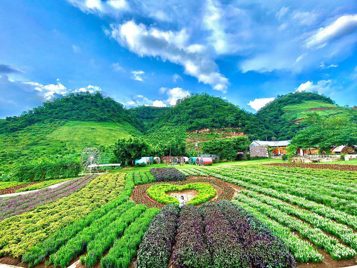 Ngắm nhìn không gian xinh đẹp của Mộc Châu Happy Land