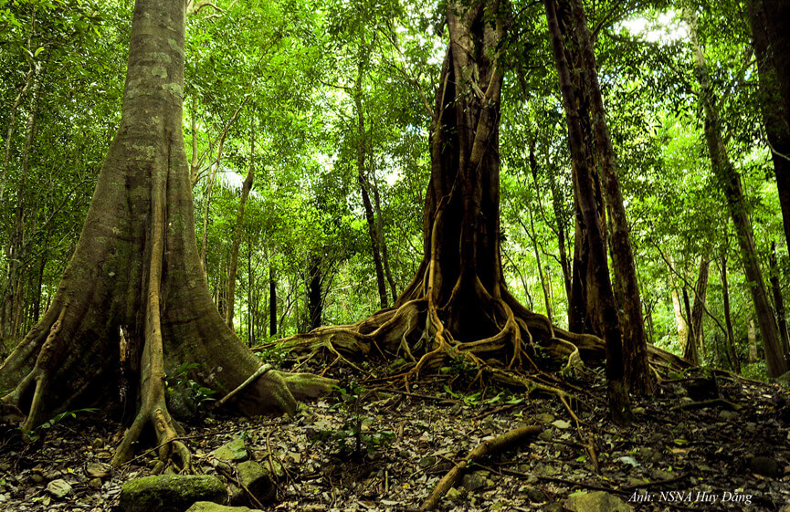 추맘레이 국립공원